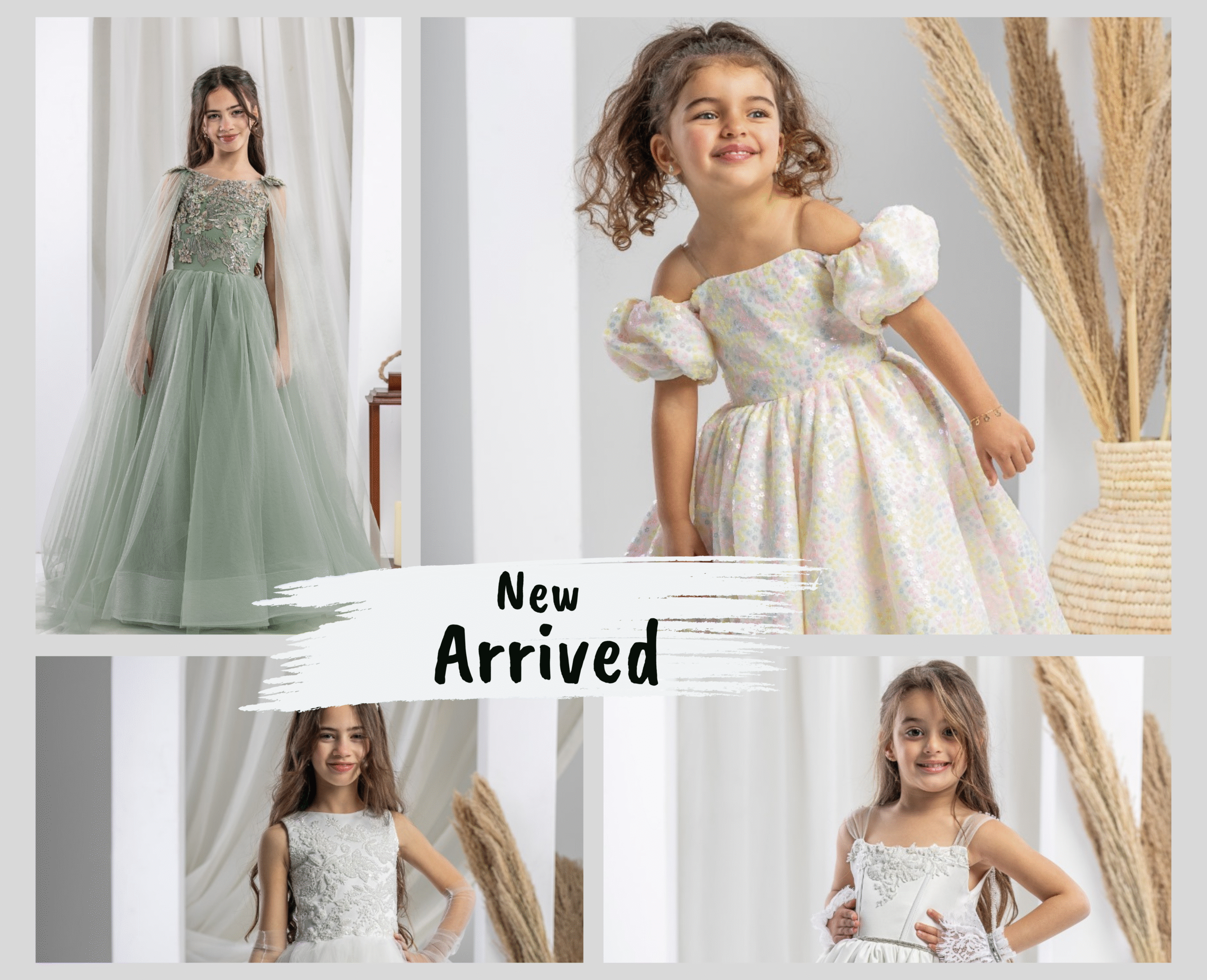new arrived (1)